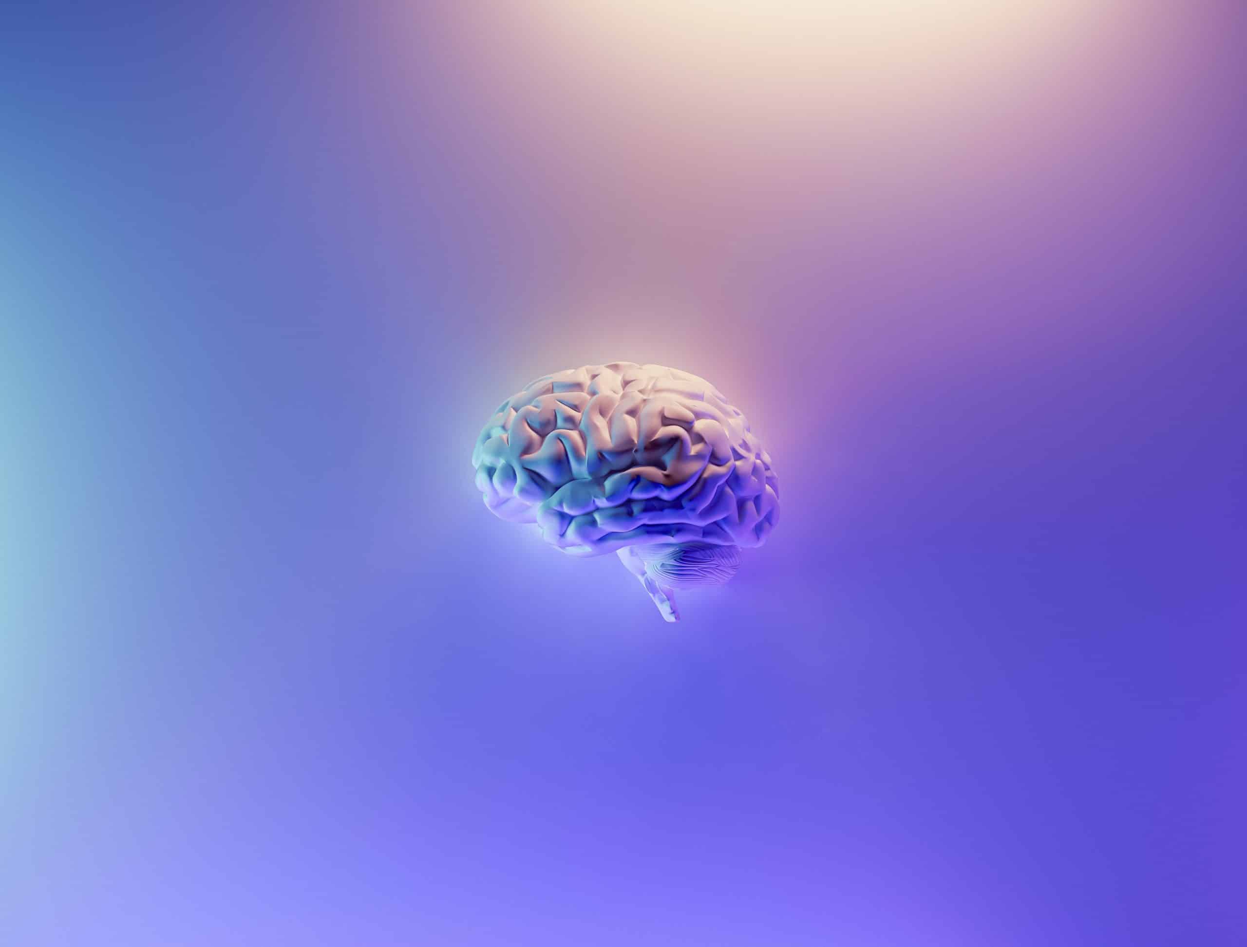 How domestic abuse affects the brain