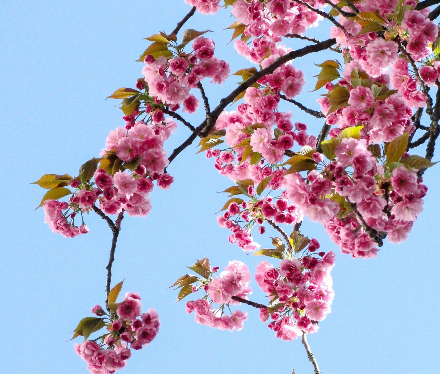 10-Minute Nature Breaks for People Who Work Indoors All Day