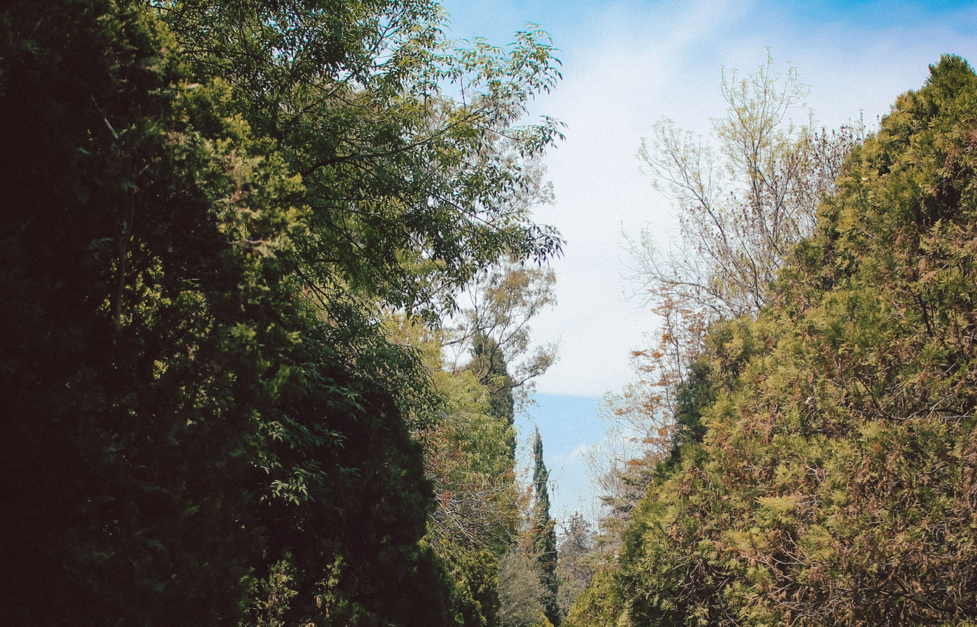 Managing Mental Health During the Summer